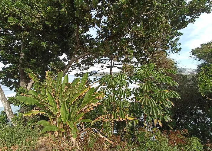 Apartamentos Margarida Ubatuba